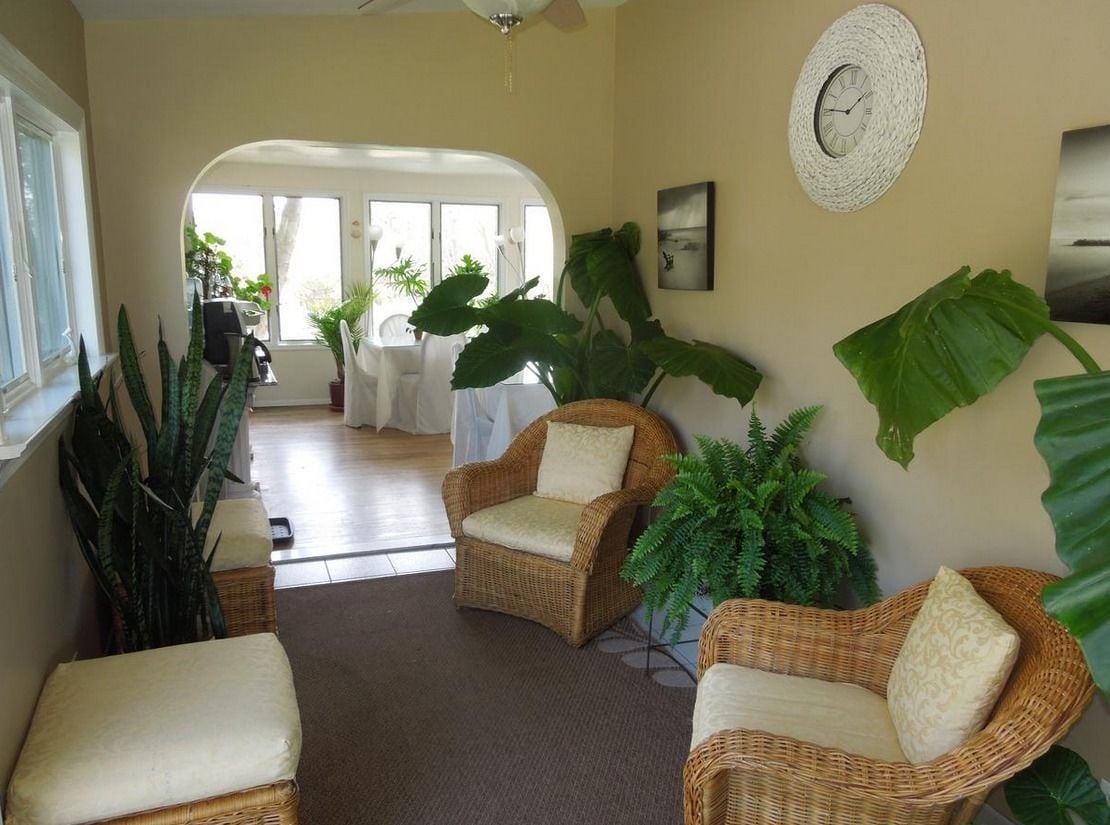 Una habitación acogedora con muebles de mimbre, plantas grandes y vistas al exterior.