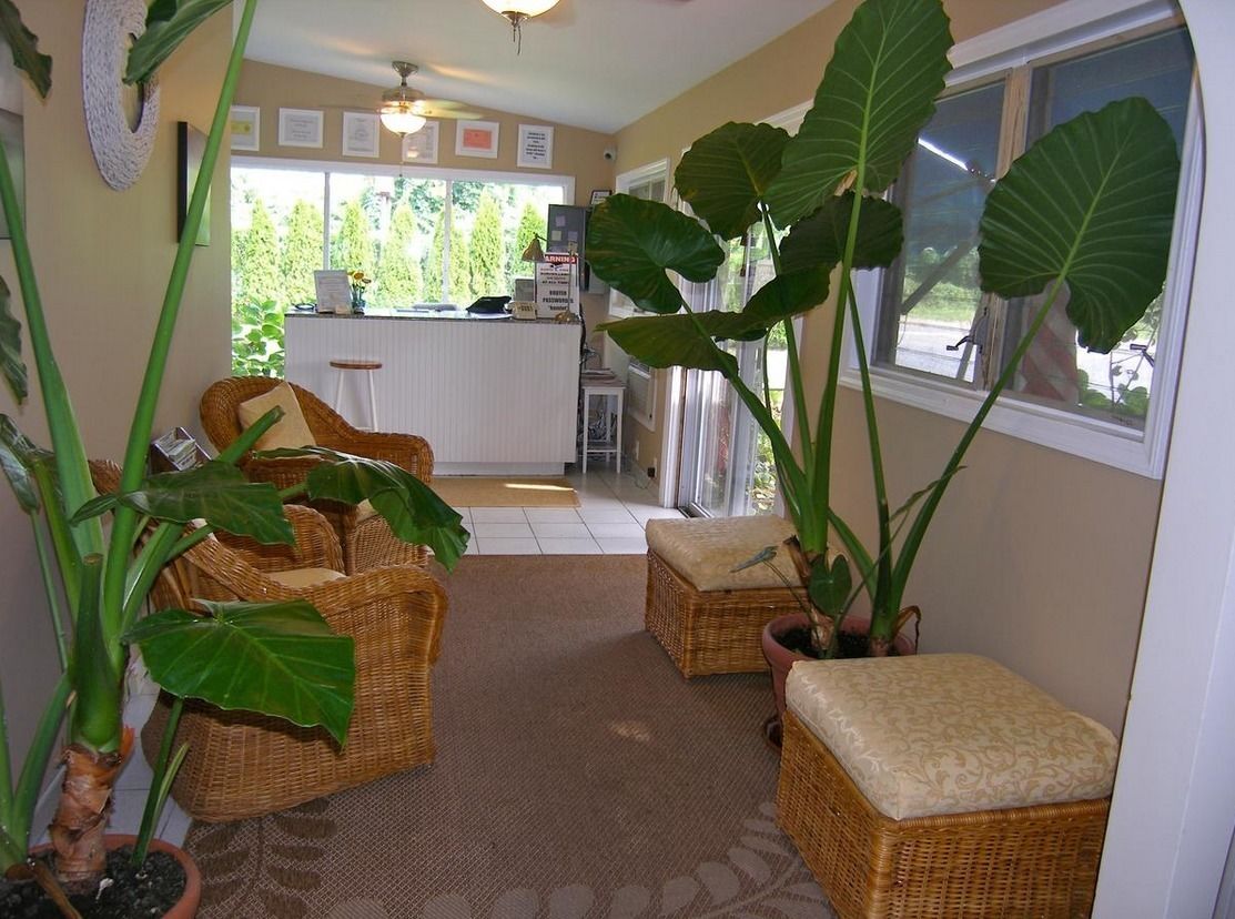 A cozy room with wicker furniture, large potted plants, and a view of the outside.