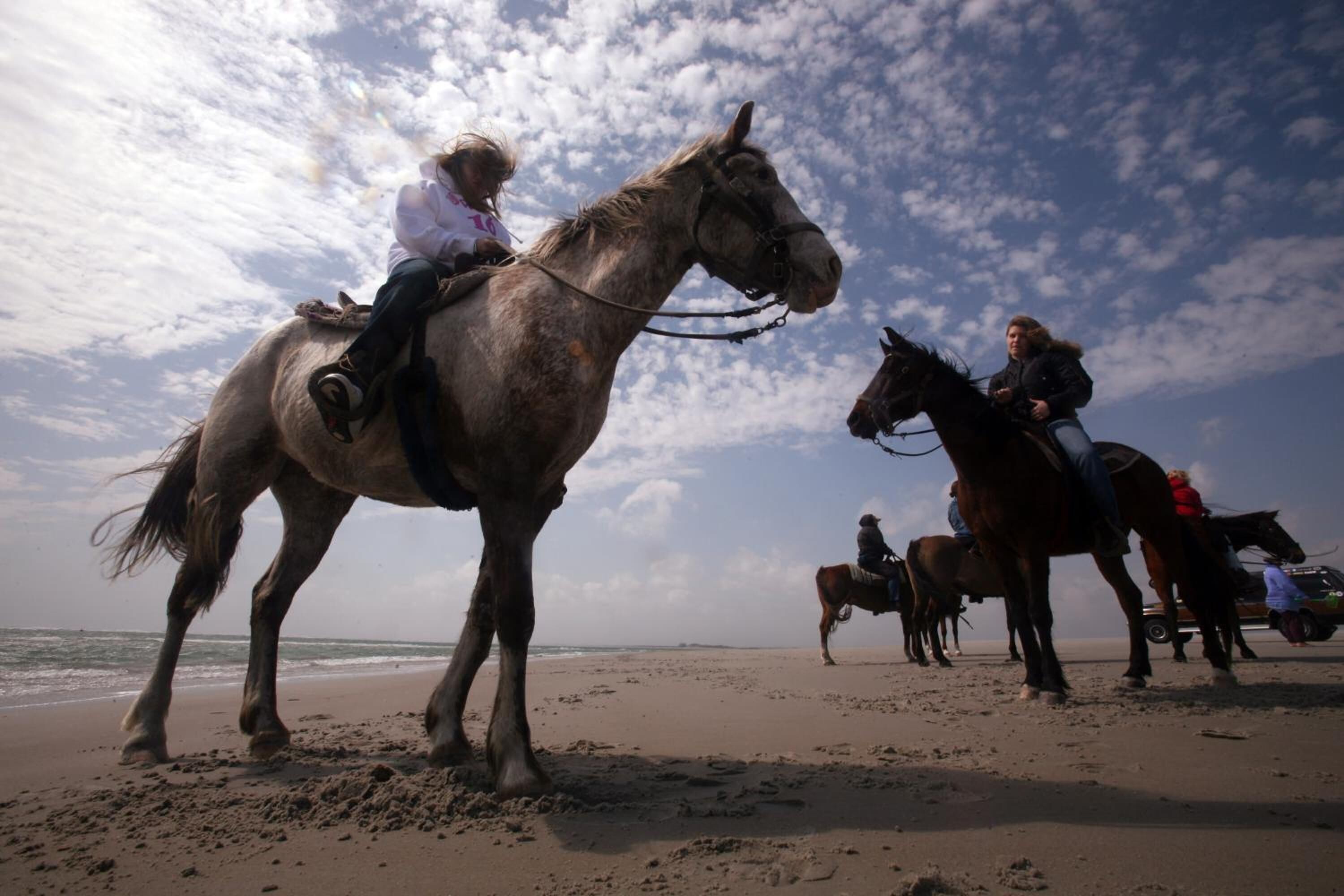 Une scène de plage avec des chevaux et des cavaliers.