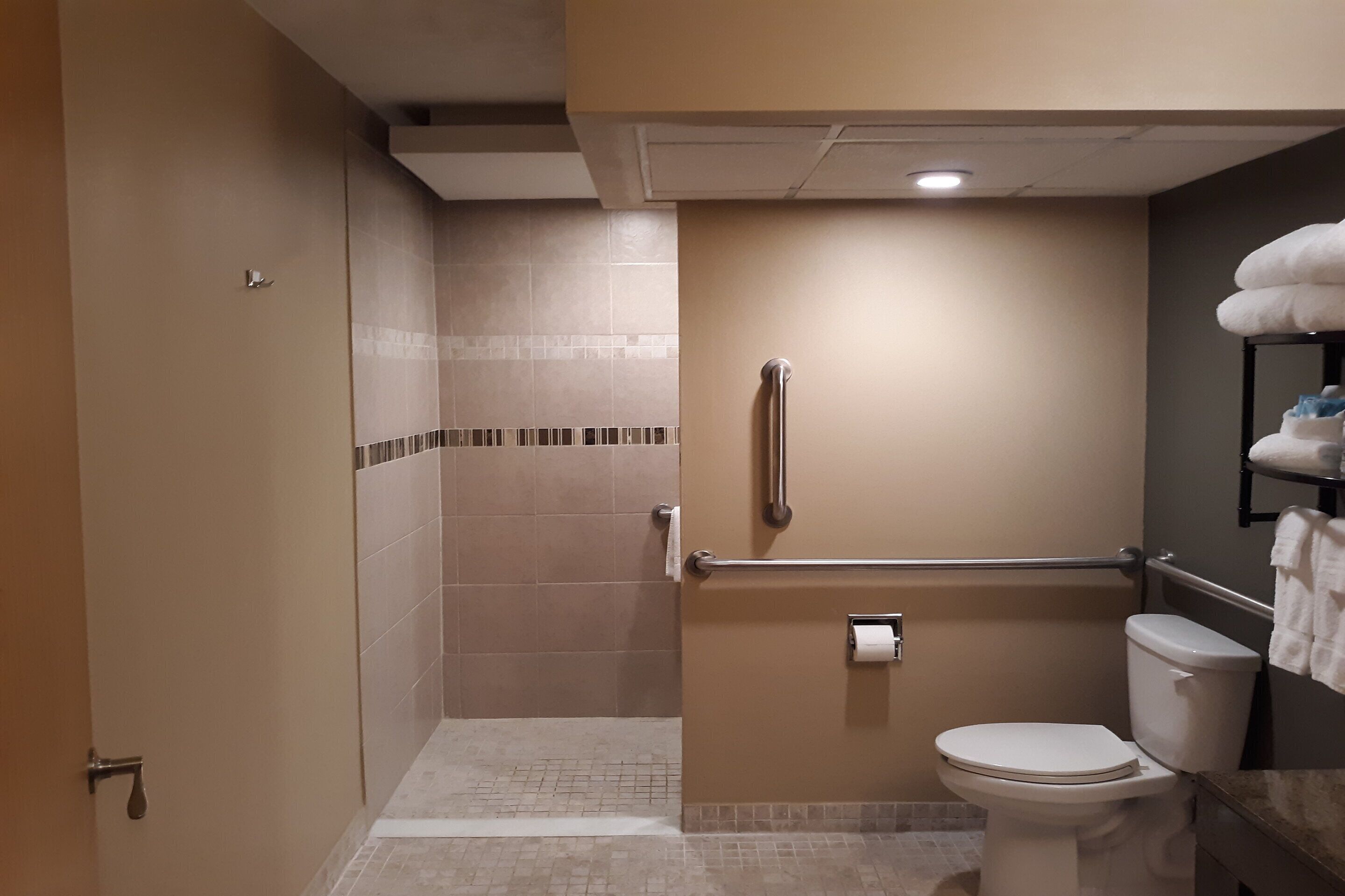 Un baño con ducha, inodoro y barras de apoyo.