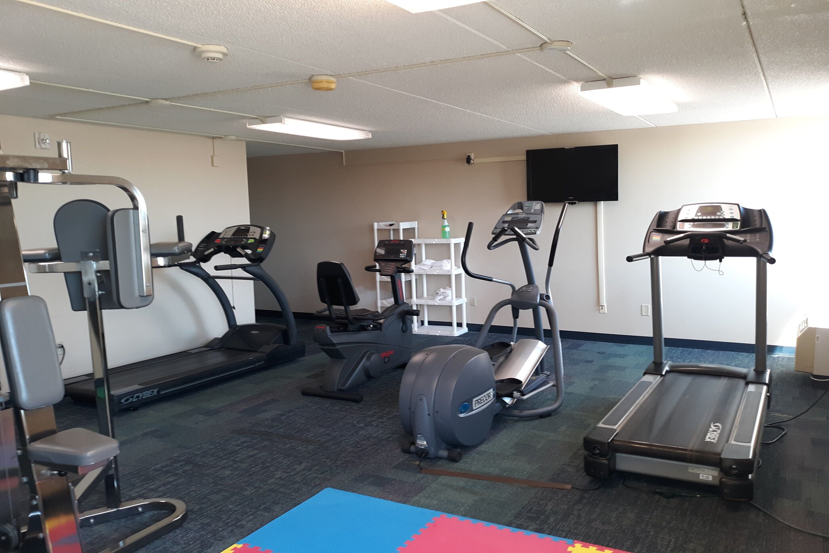 A gym with treadmills, elliptical machines, and a stationary bike.