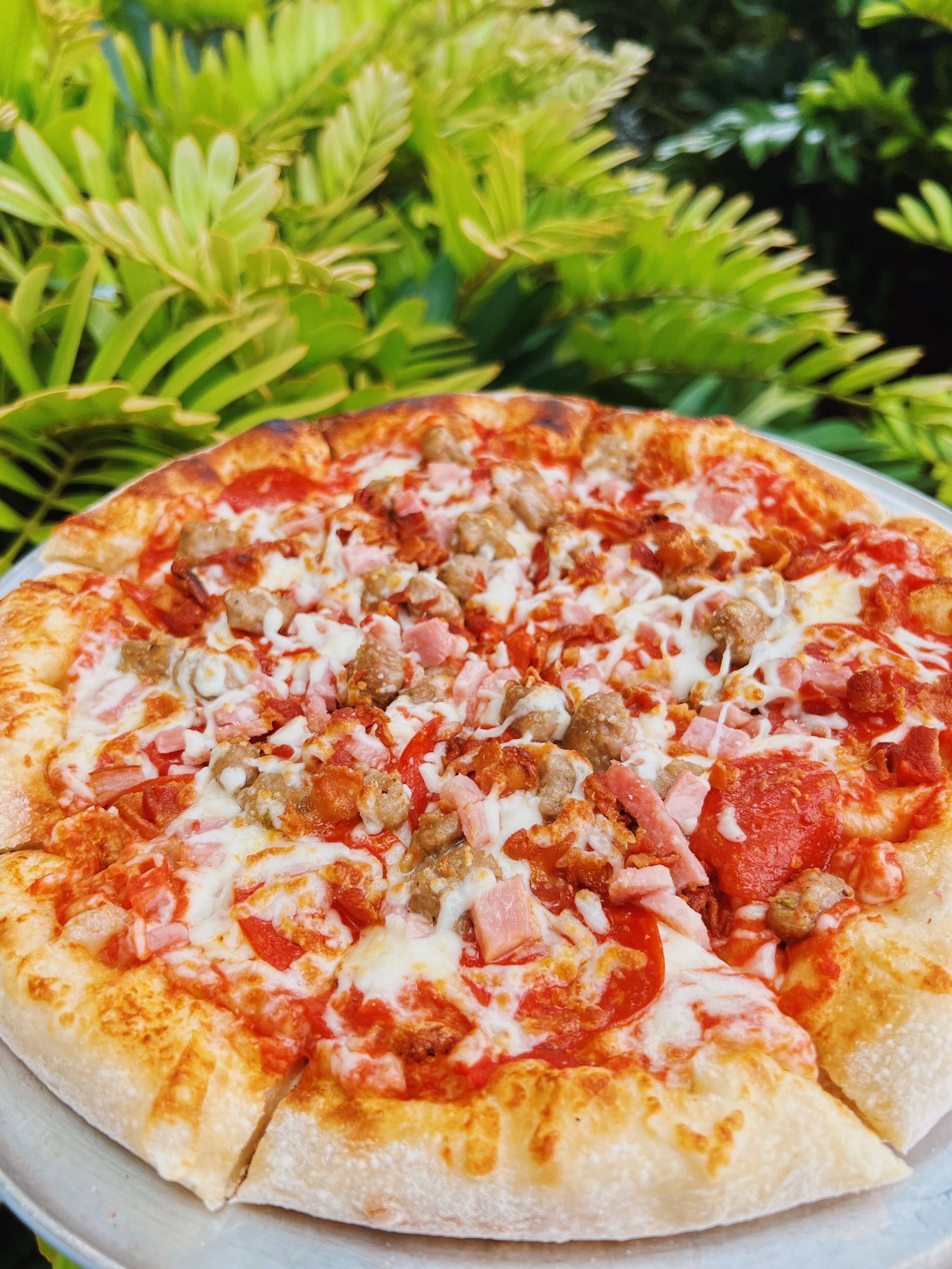 Eine Pizza mit verschiedenen Belägen auf einem weißen Teller, vor einem Hintergrund aus Grünpflanzen.