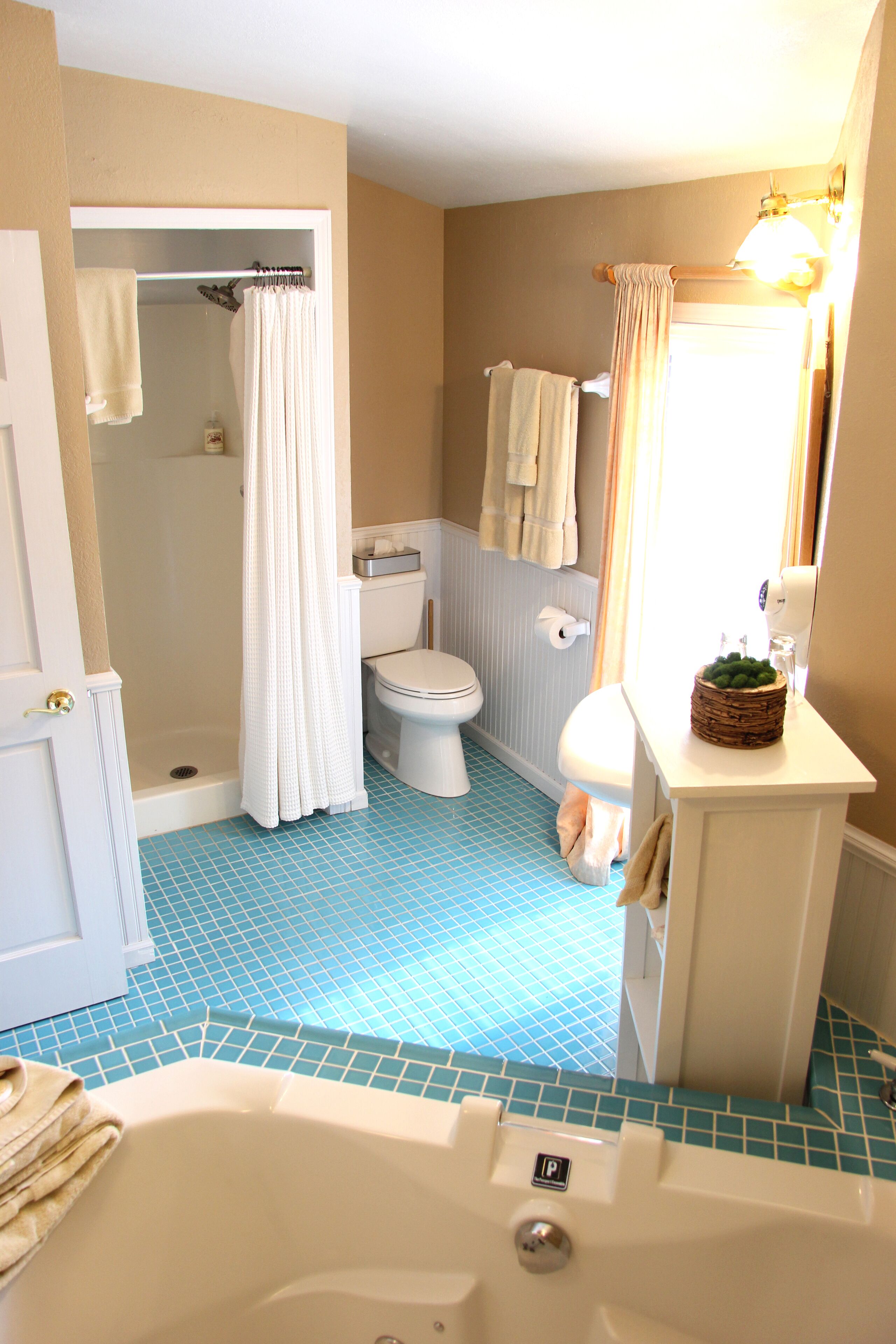 premier room (great) | bathroom shower