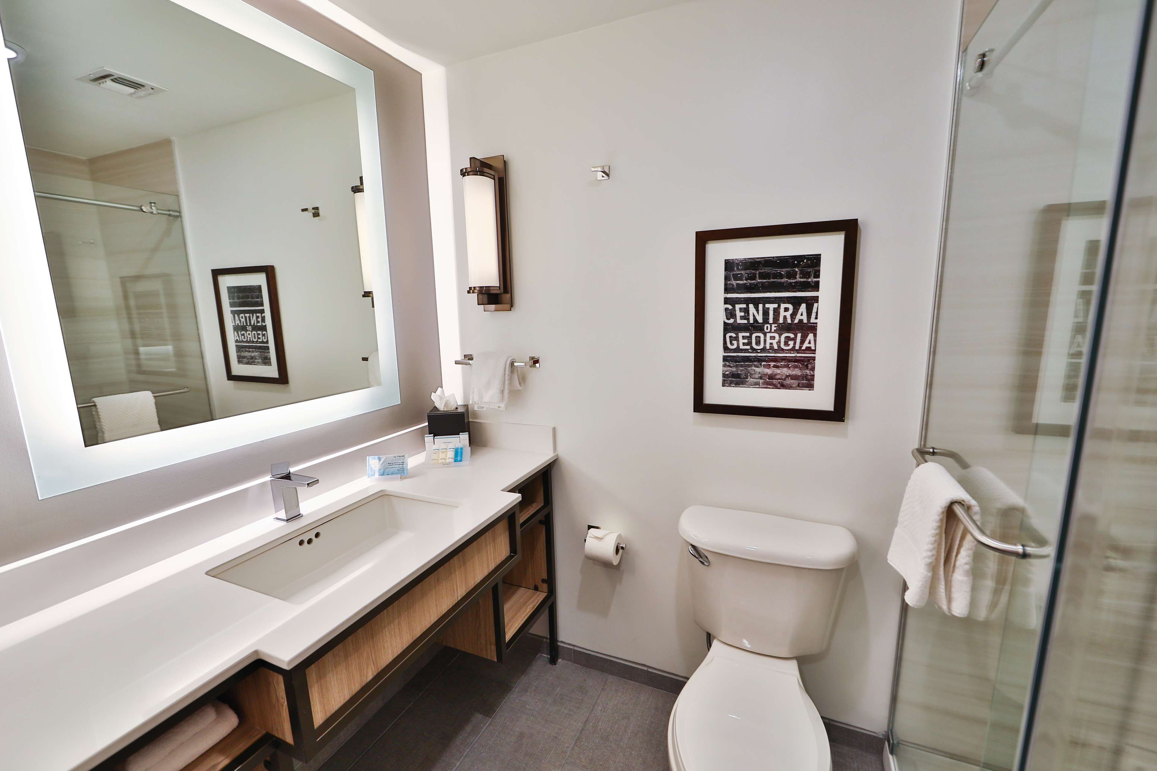 Un baño moderno con un espejo grande, un cuadro enmarco de Georgia Central, un inodoro y una cabina de ducha de vidrio.