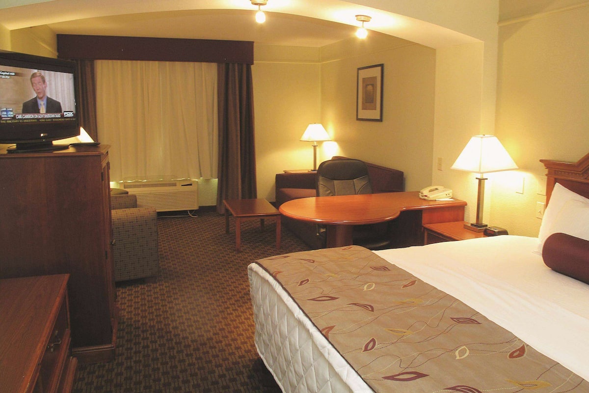 Deluxe Suite, 1 King Bed with Sofa bed, Non Smoking | Premium bedding, desk, iron/ironing board, free cribs/infant beds