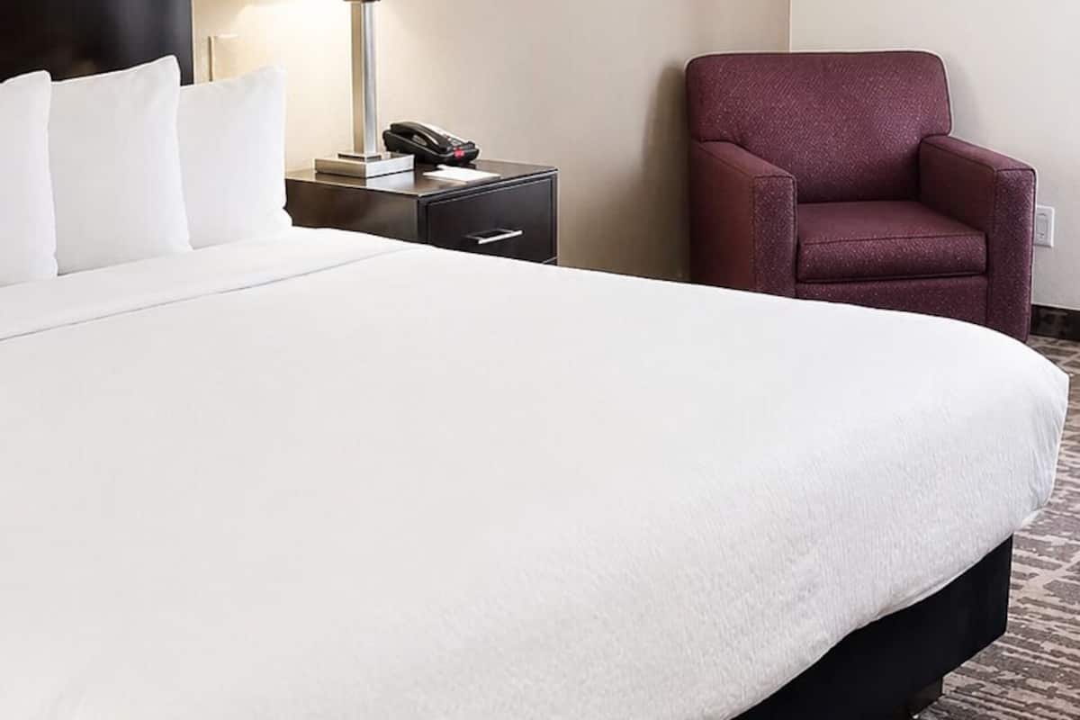 Premium bedding, desk, iron/ironing board, free cots/infant beds