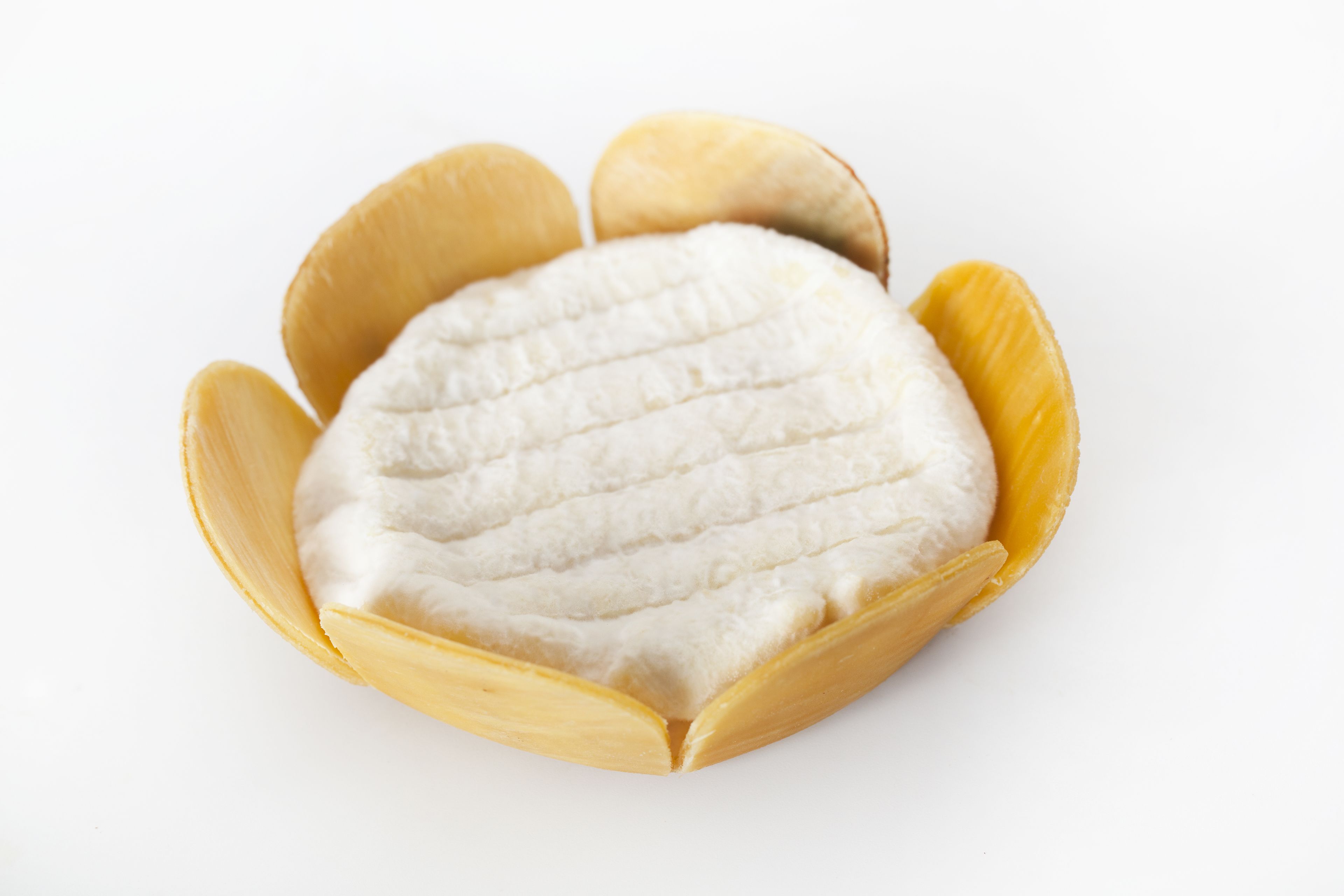 Un almohadón blanco en un recipiente amarillo con forma de flor.
