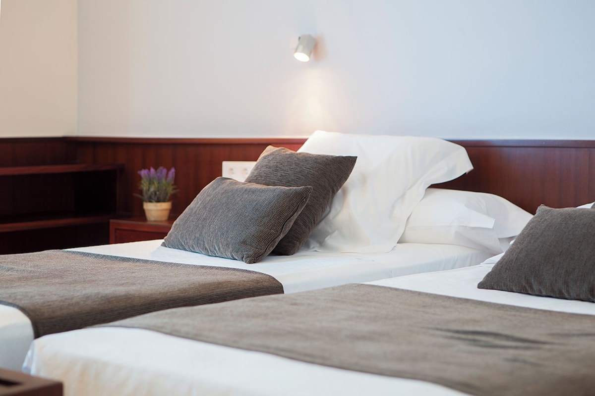 Hotellihuoneessa on kaksi sänkyä, joissa kummassakin on harmaa peitto ja tyyny, yöpöytä, lamppu ja pieni ruukkukasvi.