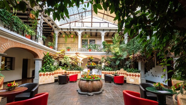 Une cour spacieuse avec des chaises et des tables rouges, entourée d’une végétation luxuriante et de plantes en pot.