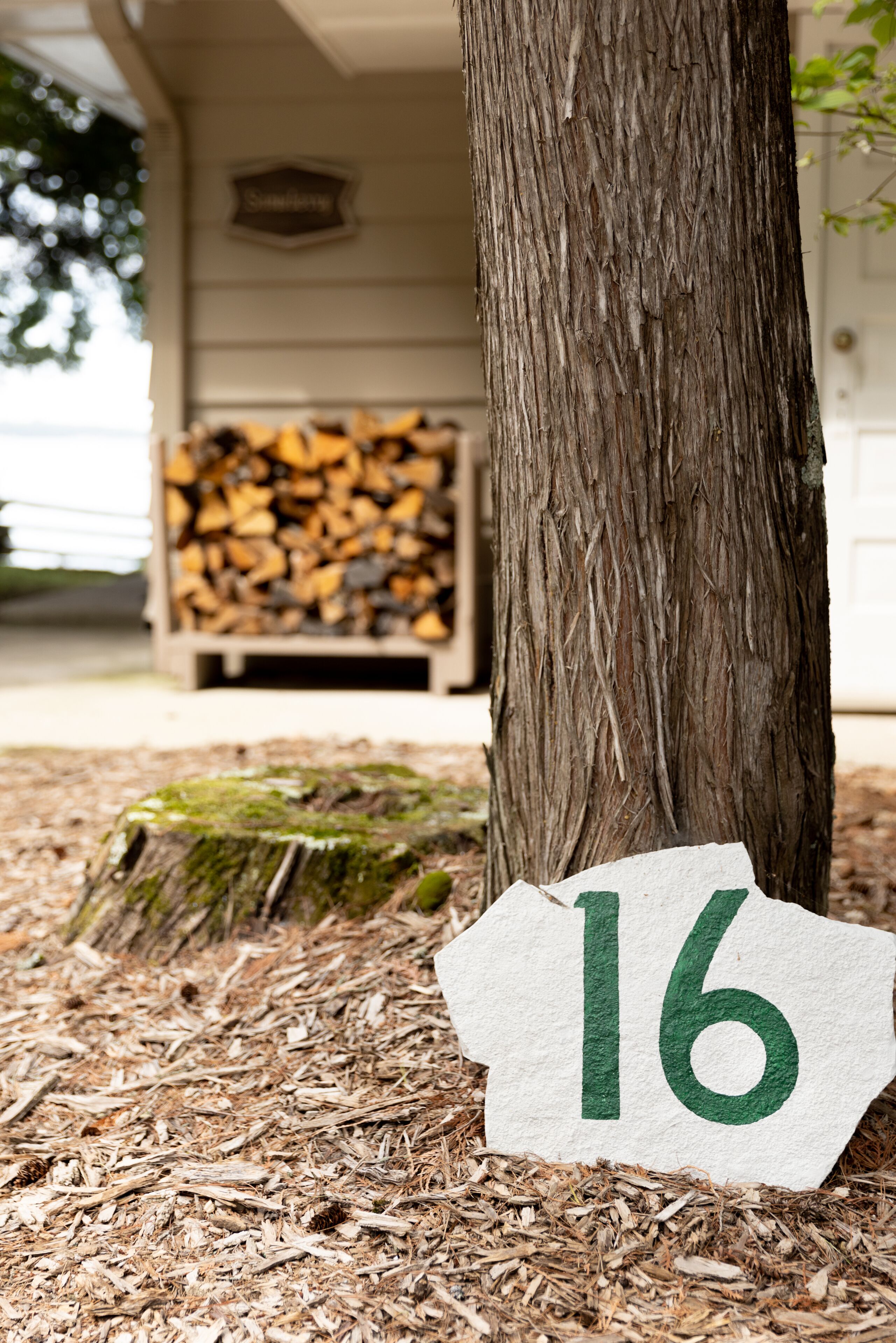 bayside studio cottage (adults only) | view from room