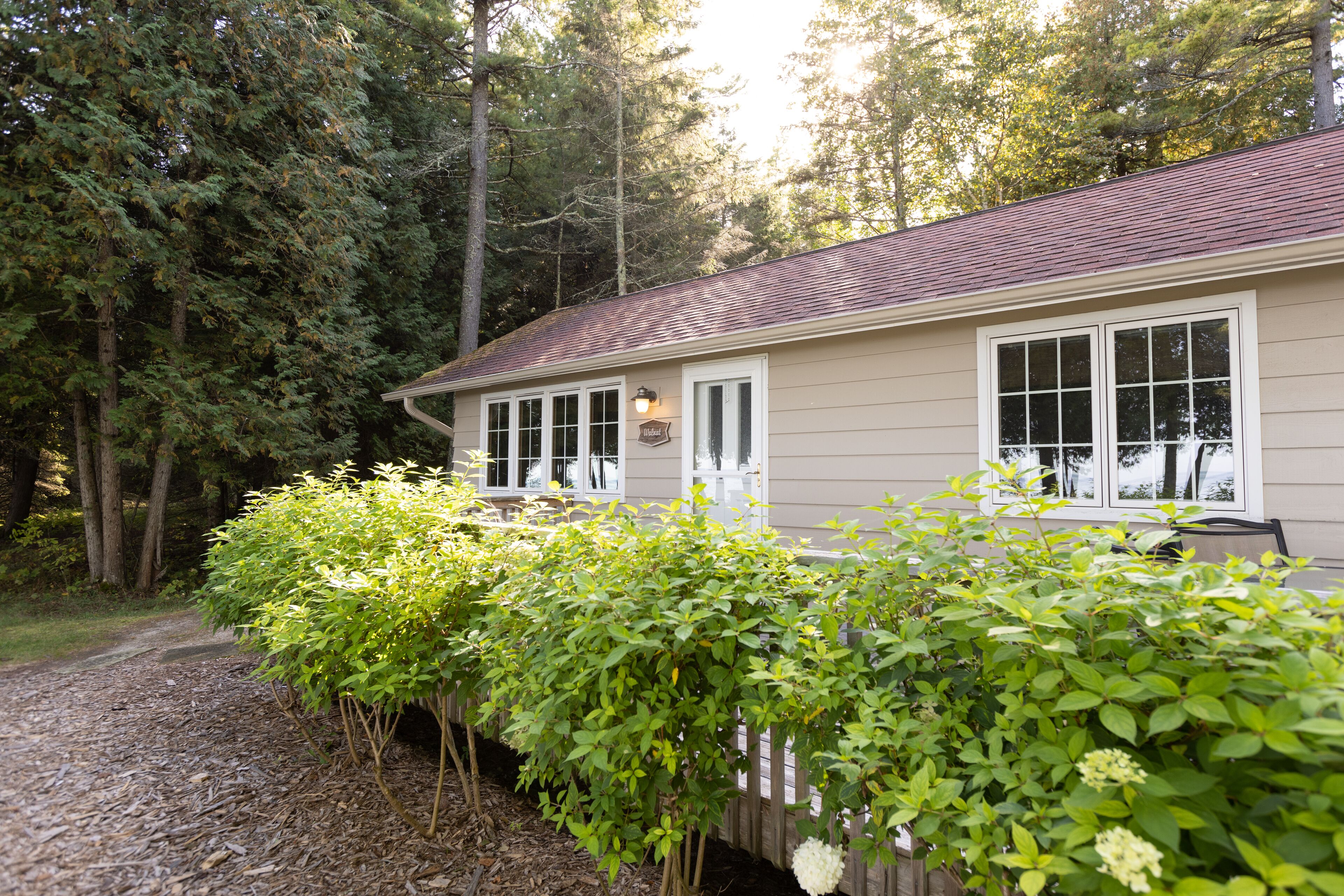 A house with a wooden deck, surrounded by dense trees and a gravel path.
