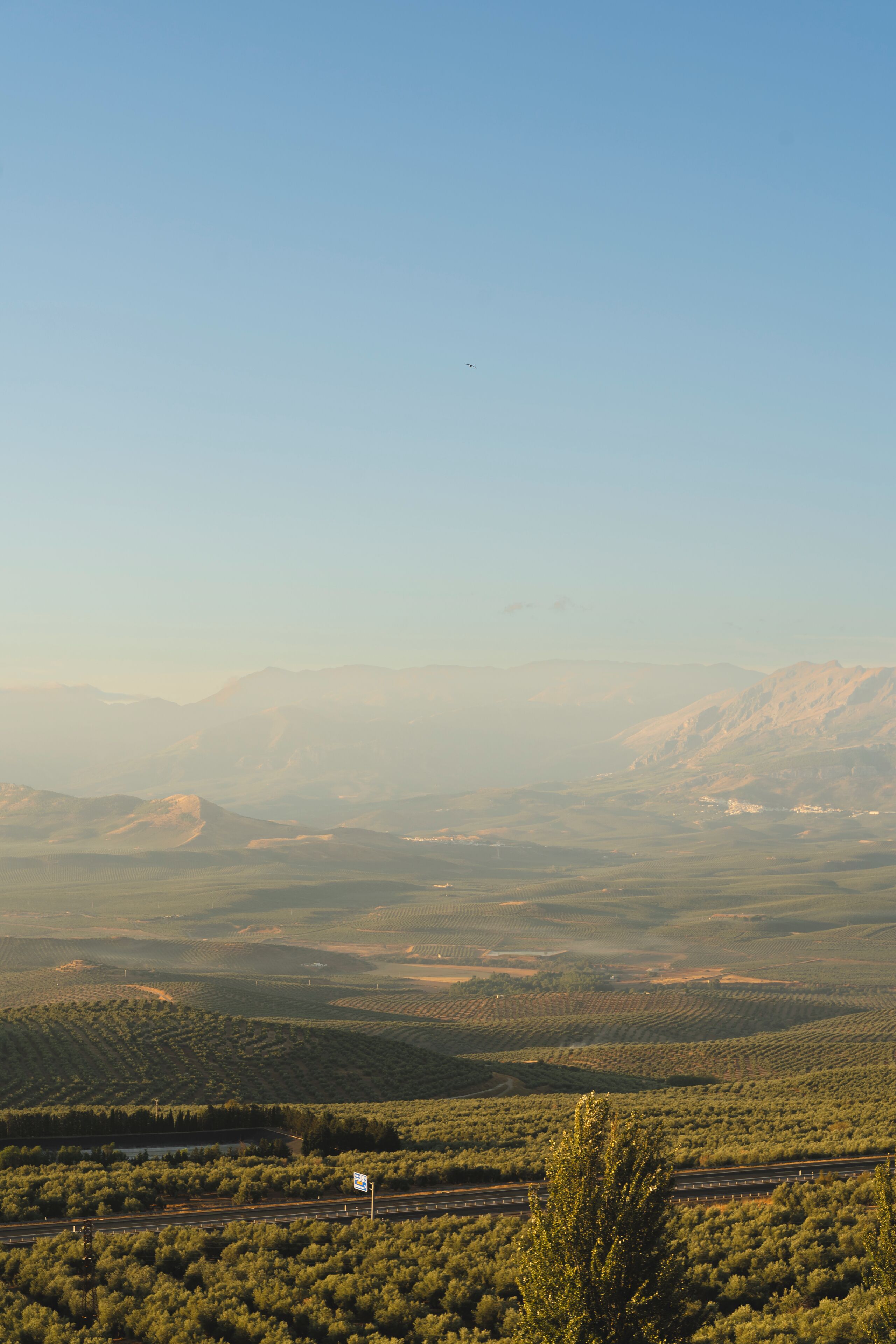 outdoor rock climbing