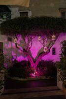 Un albero con lanterne appese ai rami, sullo sfondo di una facciata.
