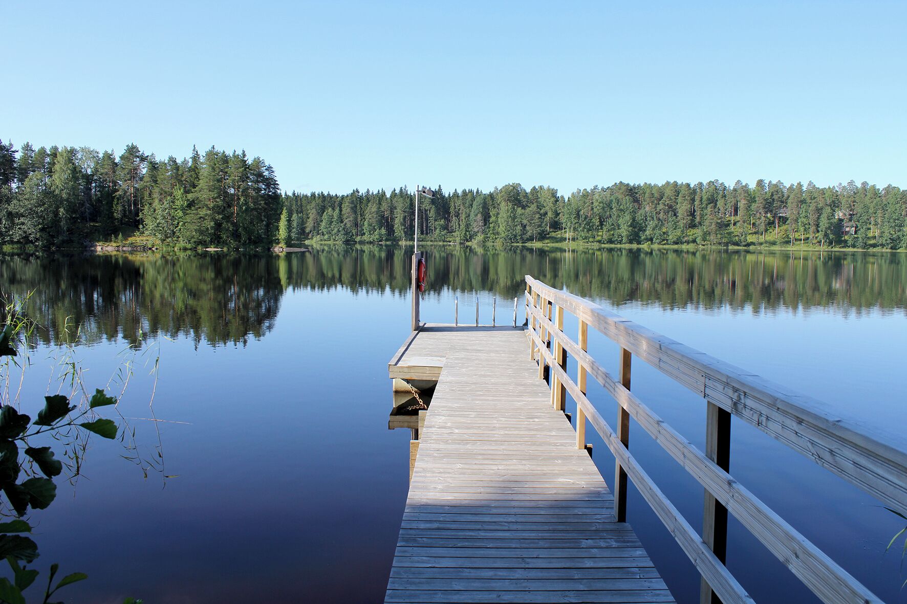 A wooden pier extending into calm water, surrounded by dense forest.