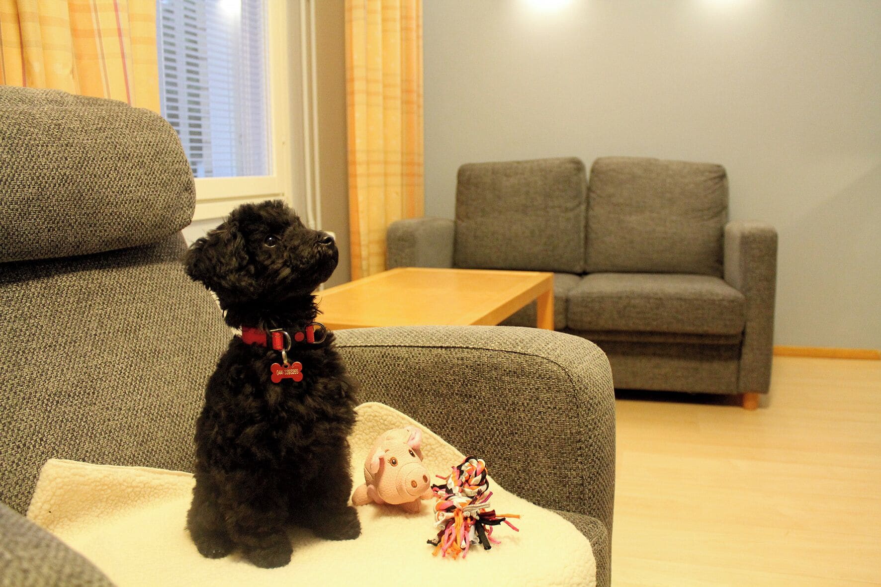 ห้องพัก