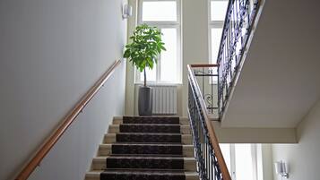 Una escalera con barandilla, una planta en maceta y un radiador.