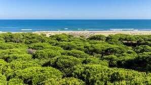 Een strand met weelderige groene begroeiing op de voorgrond en een heldere blauwe oceaan op de achtergrond.