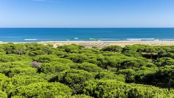 Vista da propriedade