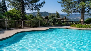 Seasonal outdoor pool, sun loungers
