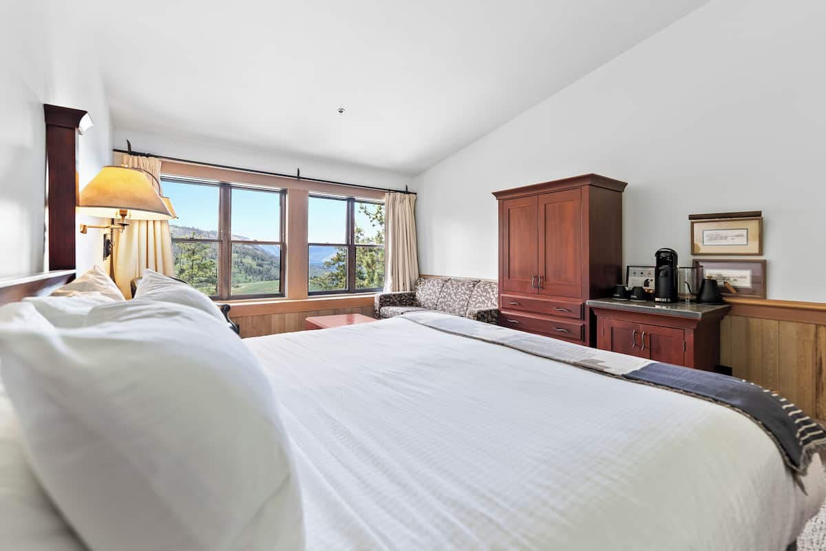 A hotel room with a large bed, a desk, a wardrobe, and a view of the outdoors.