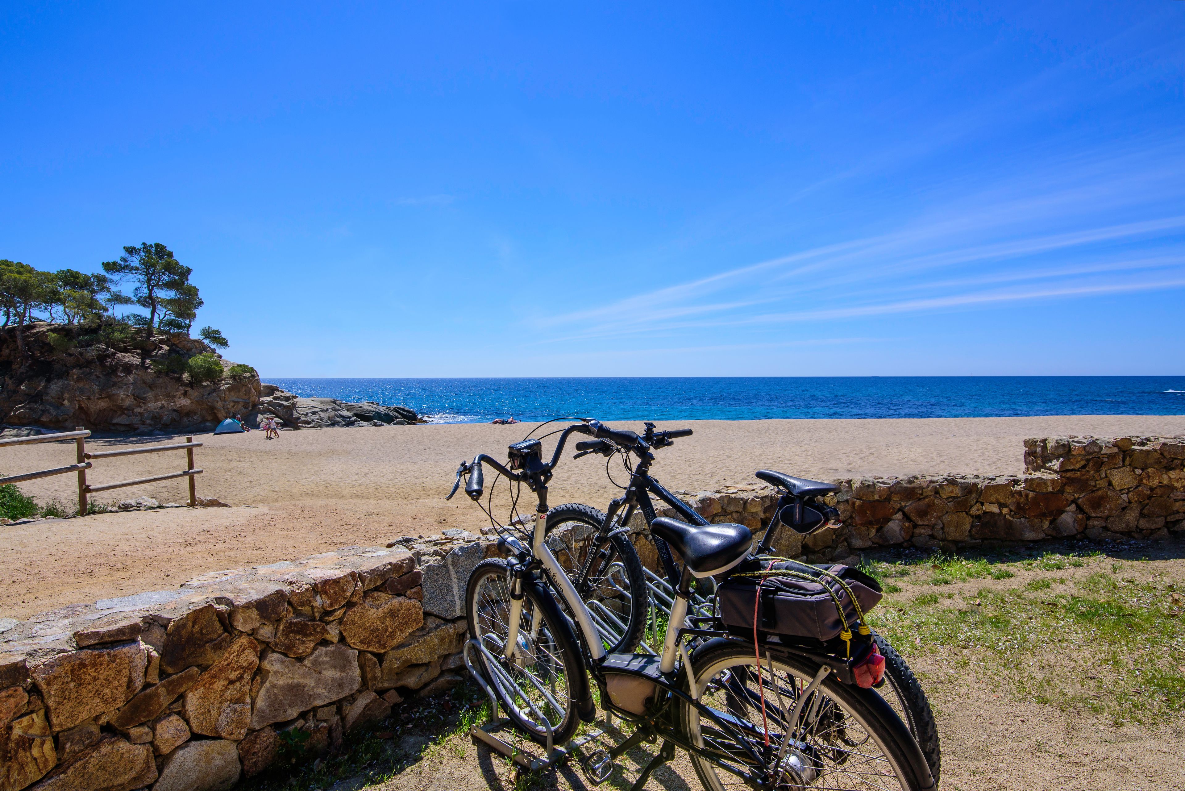 A beach with a stone wall and a wooden fence.