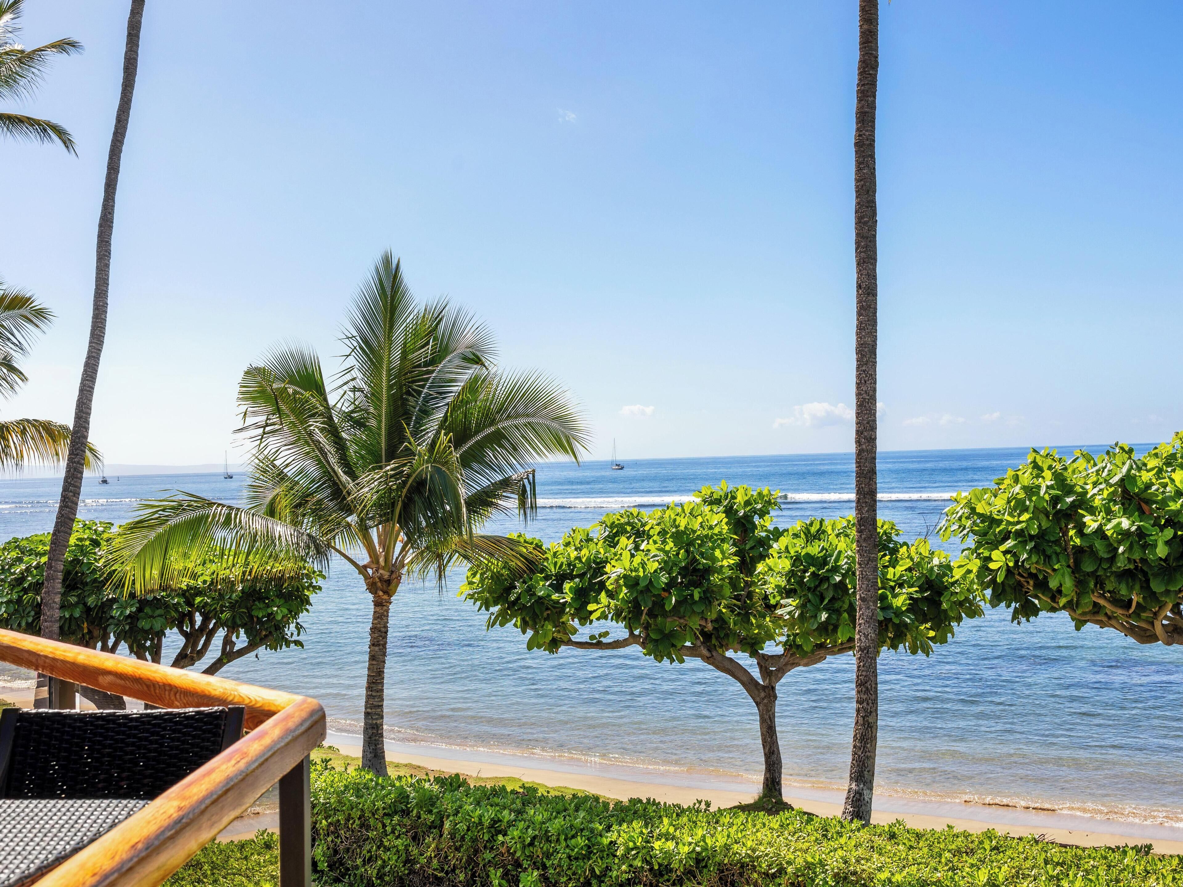 Condo, 2 Bedrooms, Oceanfront (204) | Property amenity