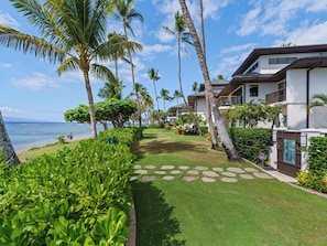 Appart'hôtel (Puunoa Beach Estates 101) | Vue sur la plage/l’océan
