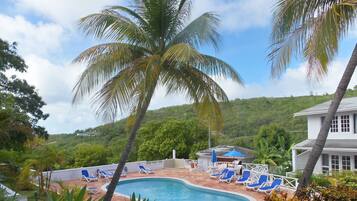 Outdoor pool, pool umbrellas, pool loungers