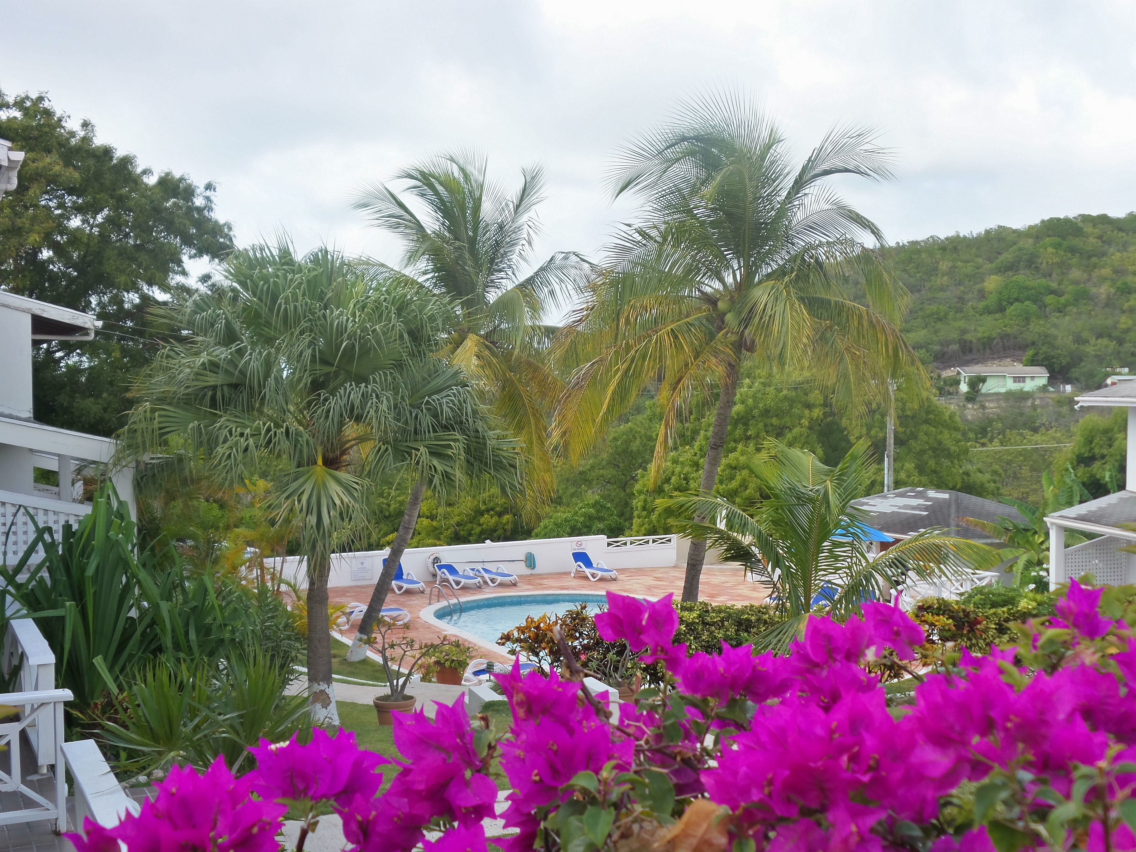 A pool area with lounge chairs, palm trees, and a view of a hillside.