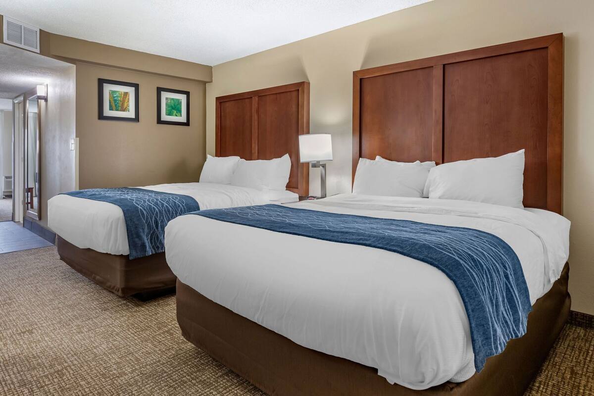 Desk, blackout drapes, iron/ironing board, free WiFi