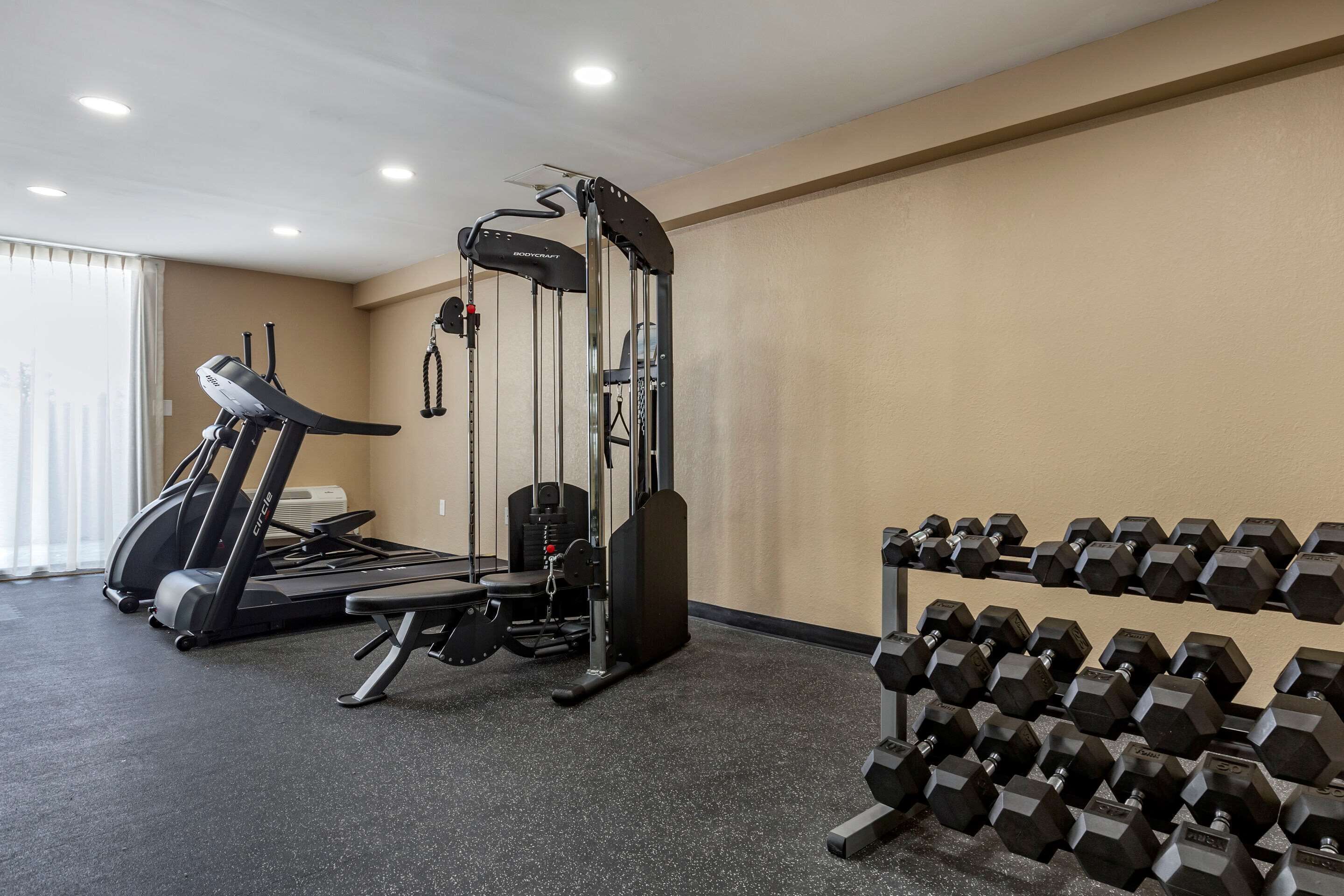Een fitnessruimte met loopbanden, een gewichtbank en een dumbbellrek.