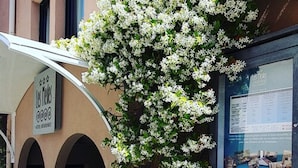 L’entrée d’un hôtel, avec une enseigne indiquant « Hôtel Résidence », une plante à fleurs blanches et un panneau d’affichage avec les noms des clients.