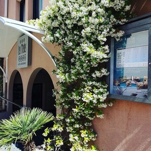 واجهة المنشأة