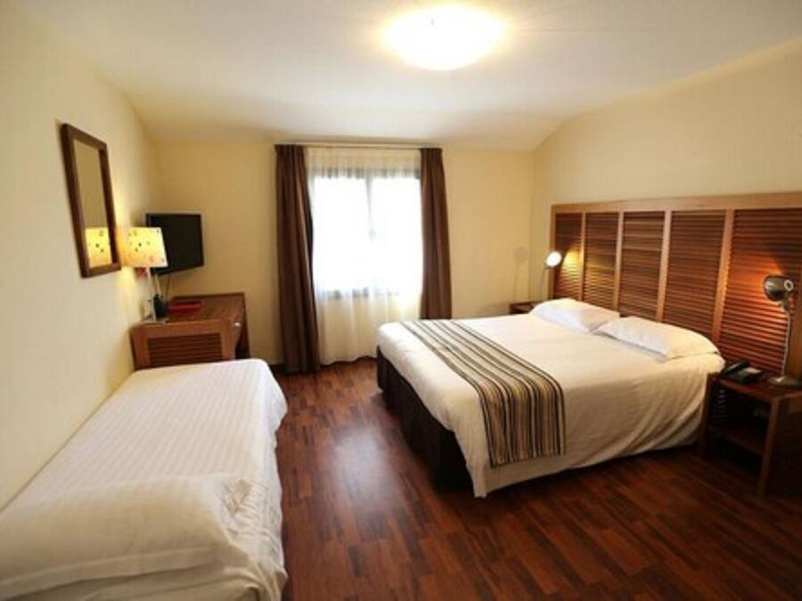 Habitación de hotel con dos camas, un televisor, una mesita de noche con lámpara y una ventana con cortinas.