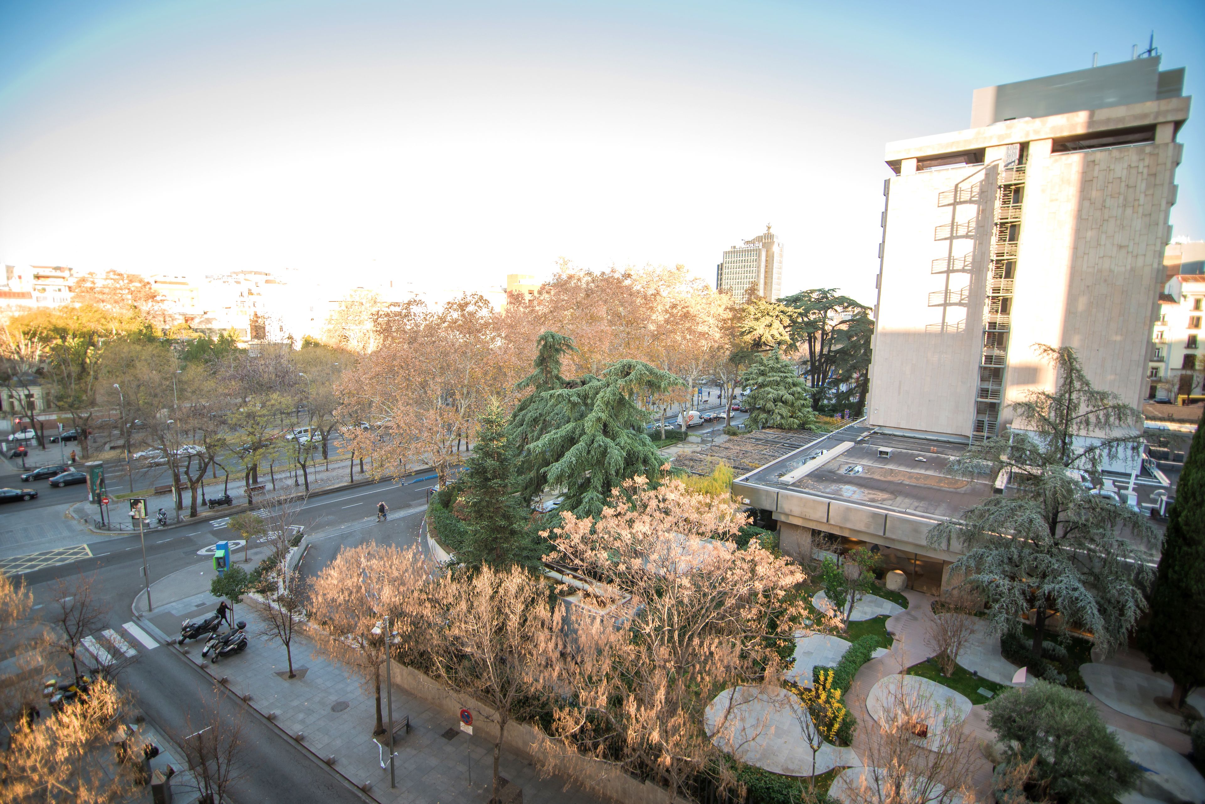 Foto - Petit Palace President Castellana