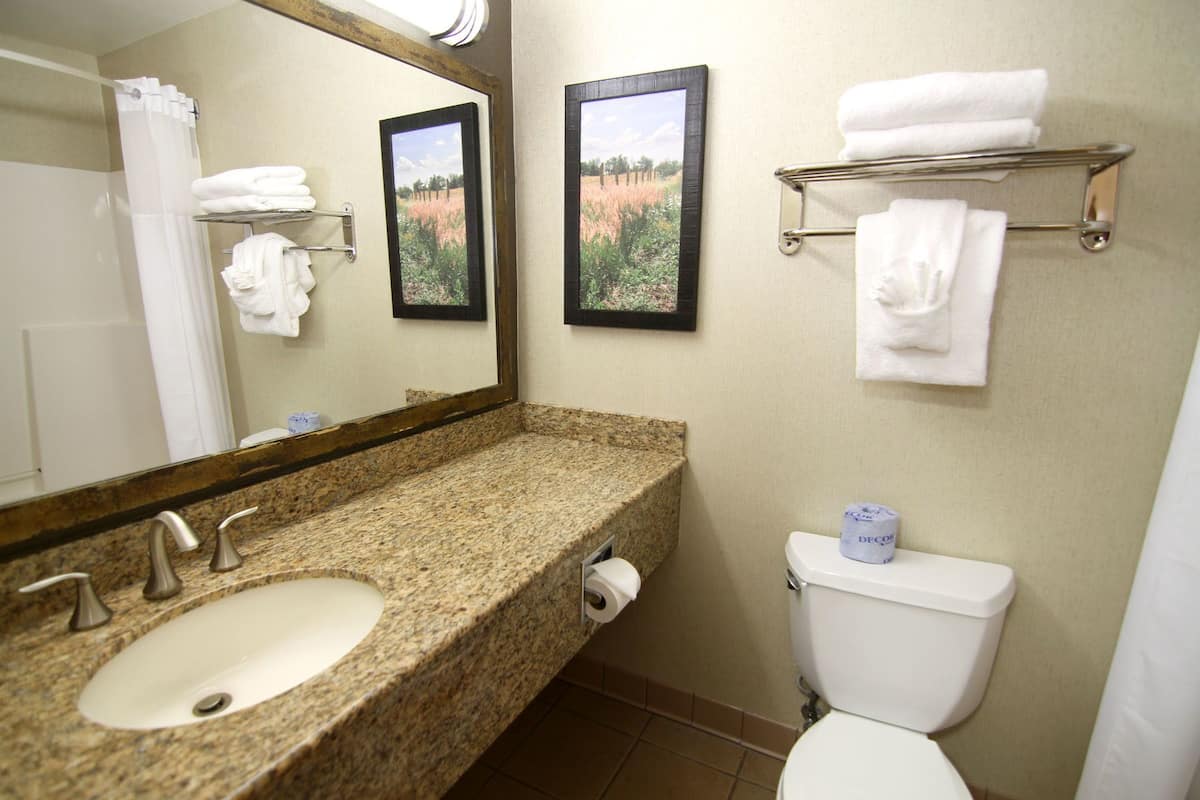 combined shower/bathtub, free toiletries, hair dryer, towels