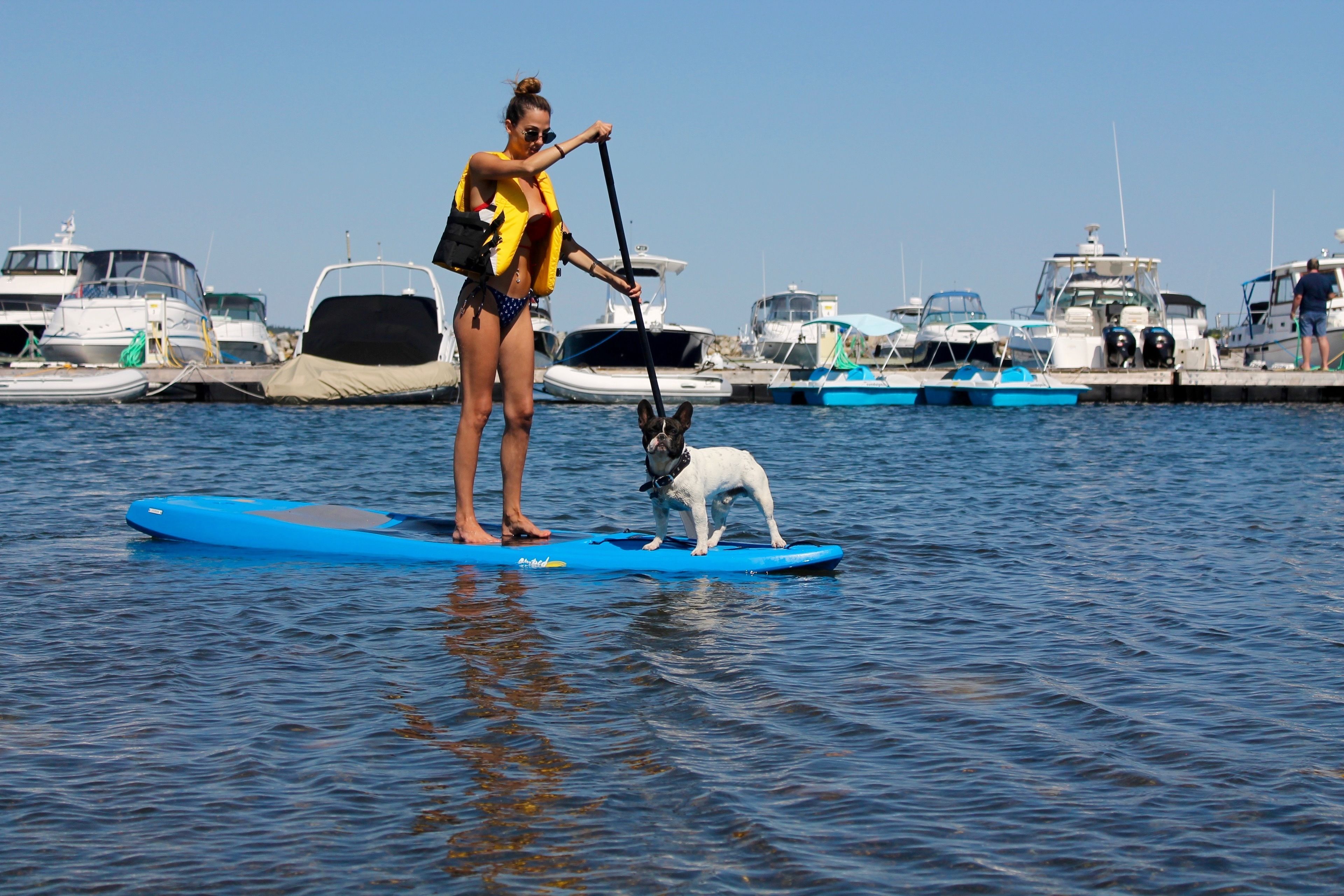 A person standing on a paddleboard with a dog, surrounded by boats in a marina.