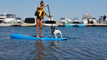 A person standing on a paddleboard with a dog, surrounded by boats in a marina.