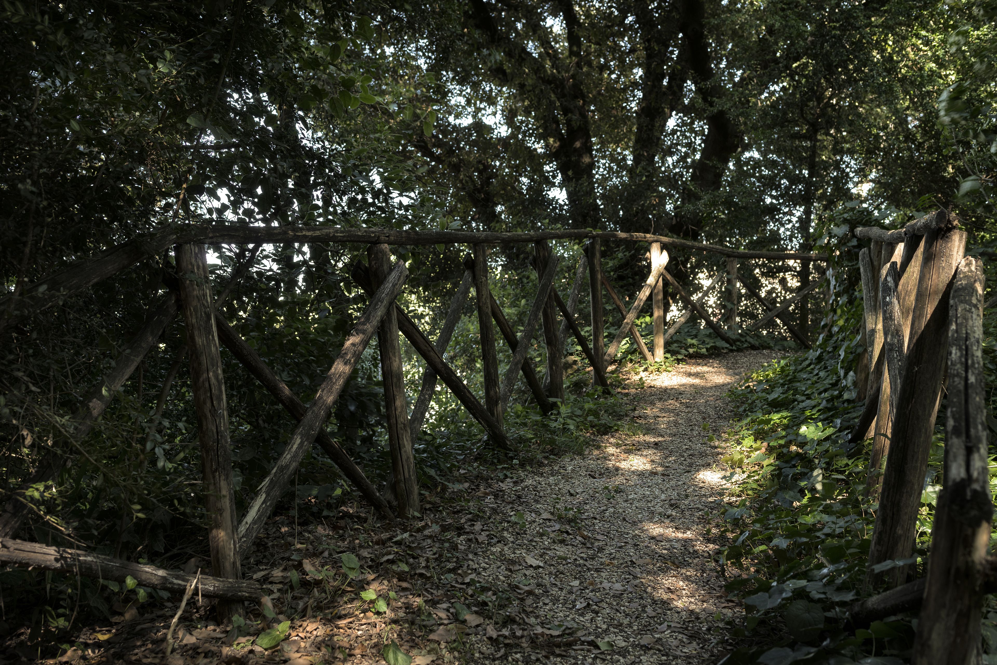 Un puente de madera rústico en una zona boscosa, con un sendero de grava que lo atraviesa.