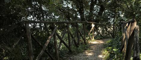 A rustic wooden bridge in a forested area with a gravel path leading through it.