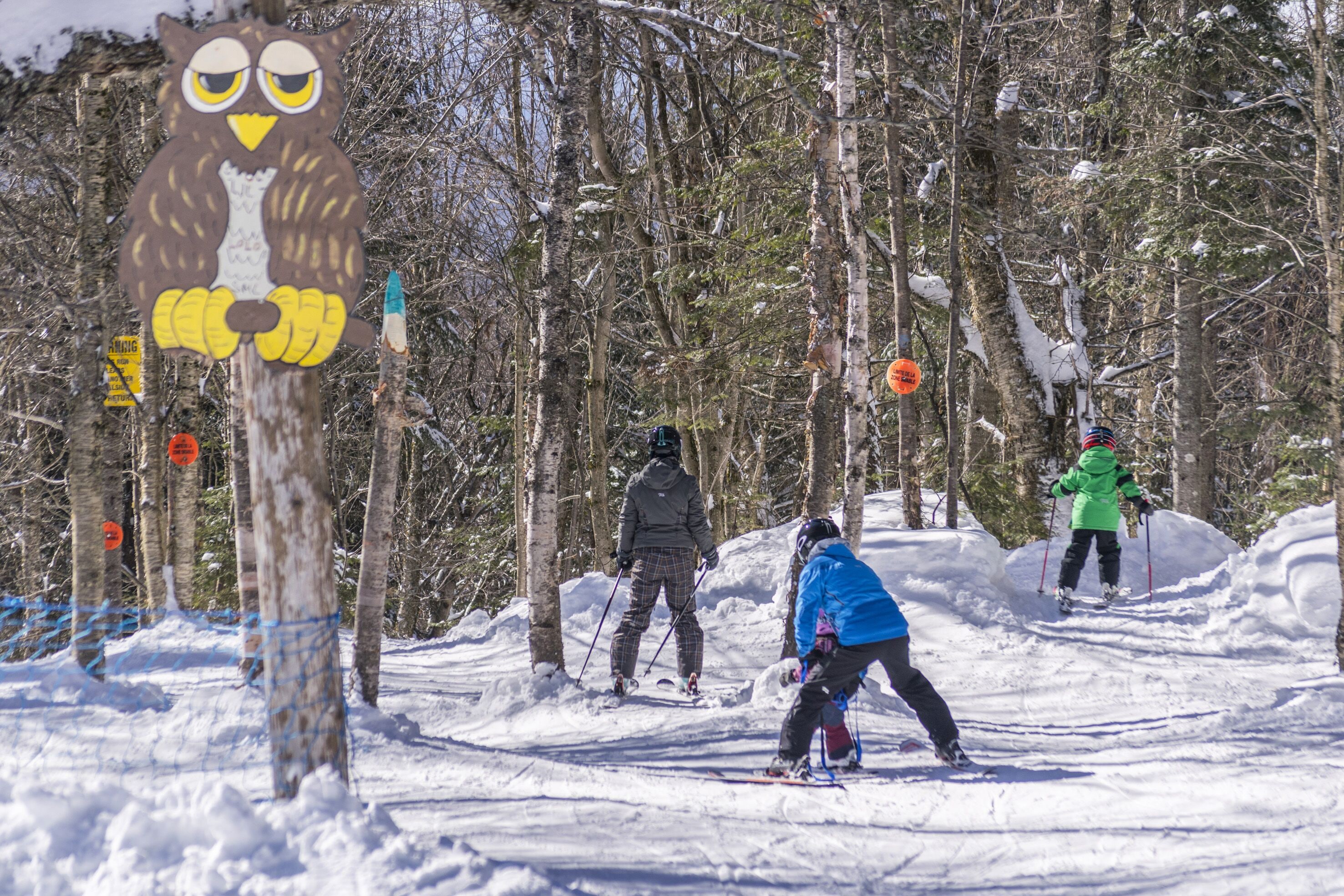 A snowy ski slope with skiers, a wooden sign with an owl, and trees in the background.