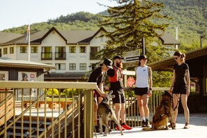 A group of people and dogs near a building with a sign reading "QUATRE-FOYER". - Hôtel Stoneham (Stoneham-et-Tewkesbury)