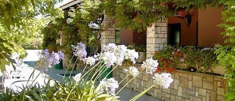 Áreas de la propiedad