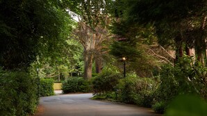 A tree-lined road with a lamp post and a sign indicating a park entrance. - The Lismoyne Hotel (Fleet)