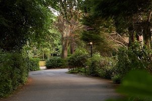 Uma estrada arborizada com um lampião e uma placa indicando a entrada de um parque.