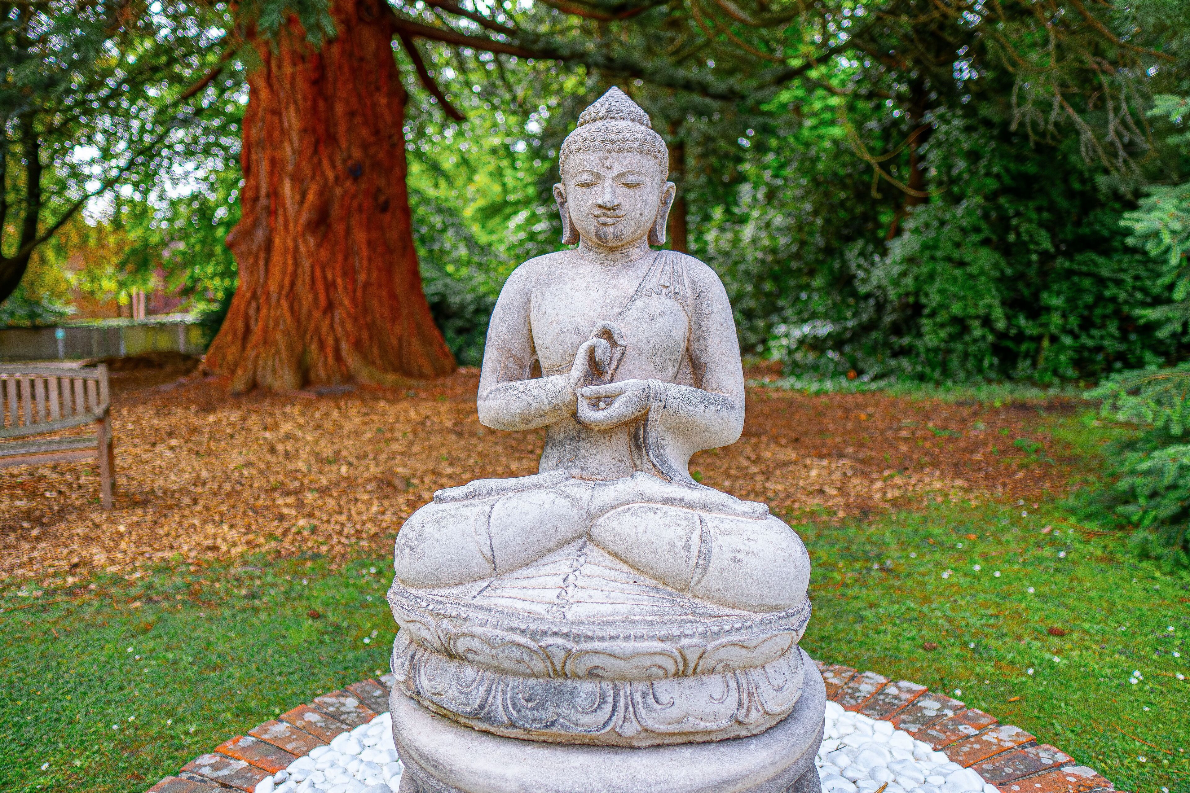 Una estatua de Buda de piedra en un jardín con un árbol grande y un banco al fondo.
