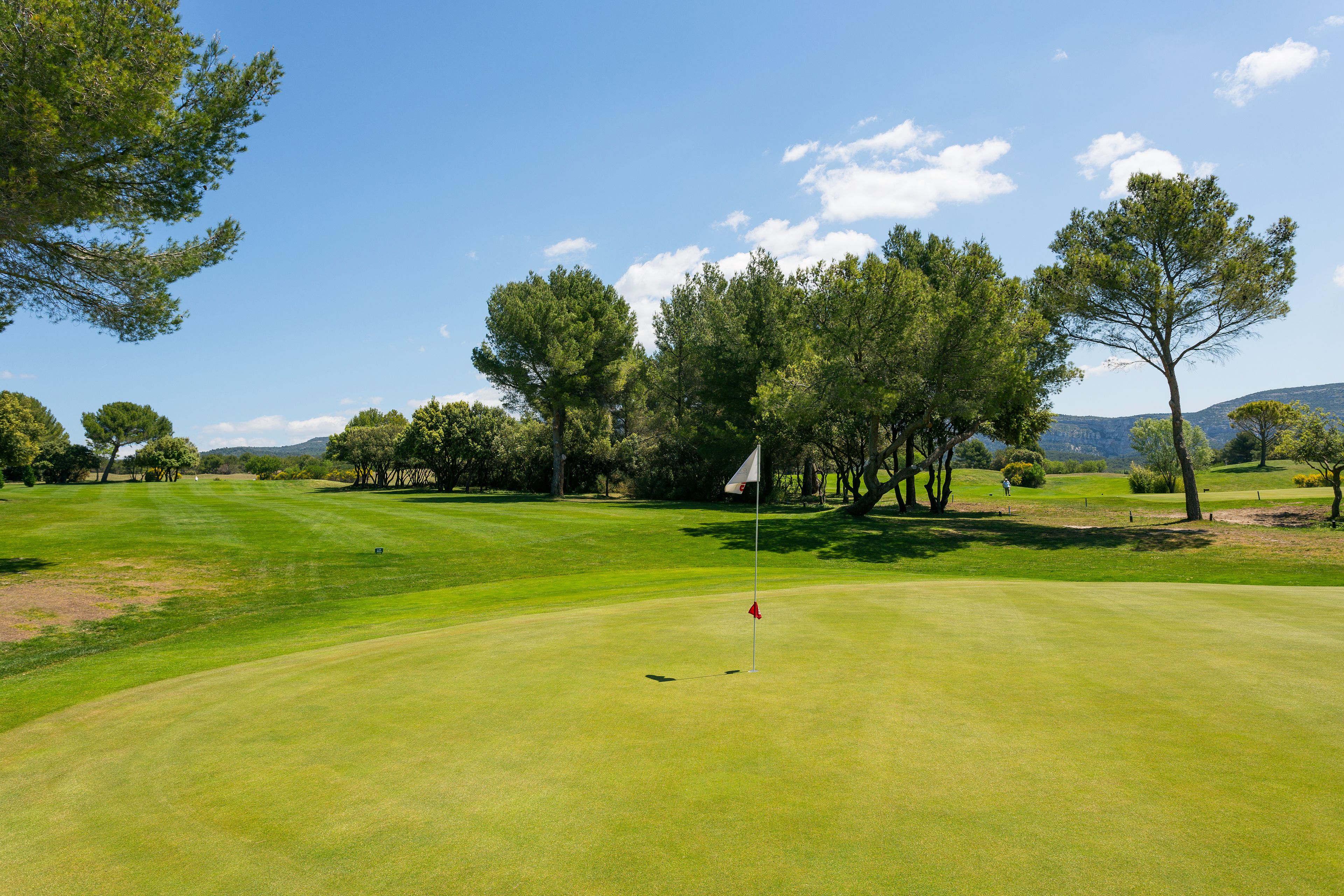 Ein Golfplatz mit Fahnenstange, Bäumen und blauem Himmel.