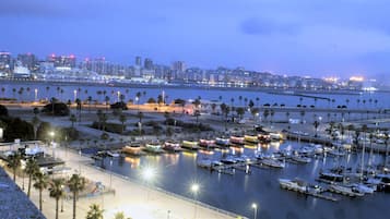 Vista desde la propiedad