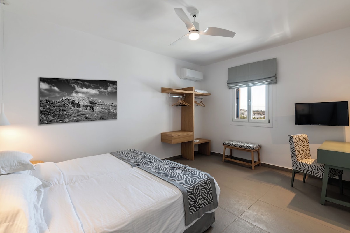 A bedroom with a bed, a desk, a chair, a ceiling fan, a window with a view, and a mounted TV.