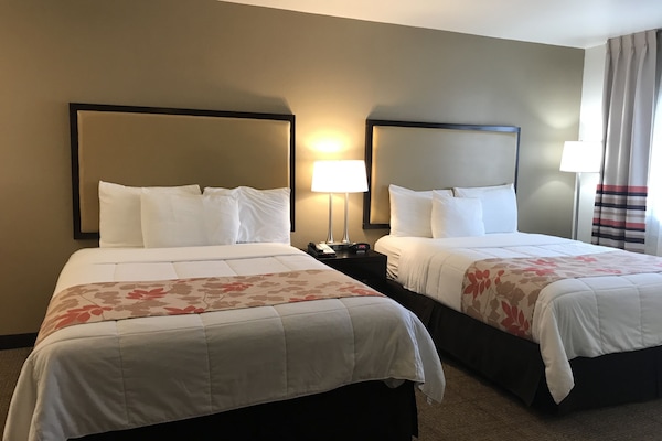 Ropa de cama de alta calidad, colchones con pillow-top y escritorio